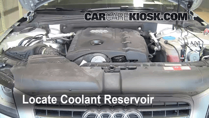 Transmission Fluid Level Check 2009 Audi A4 Quattro 2.0L 4 Cyl. Turbo